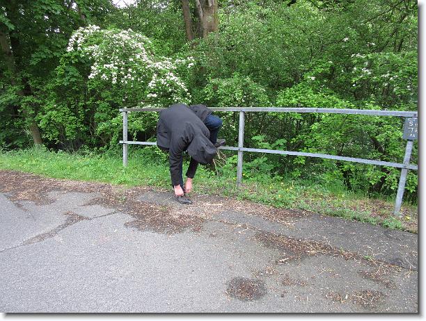 Nächstes Bild